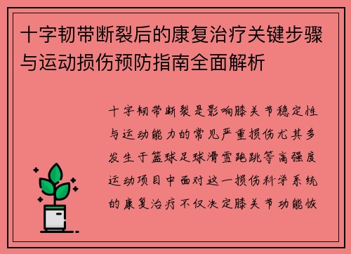 十字韧带断裂后的康复治疗关键步骤与运动损伤预防指南全面解析 十字韧带断裂后的康复治疗关键步骤与运动损伤预防指南全面解析